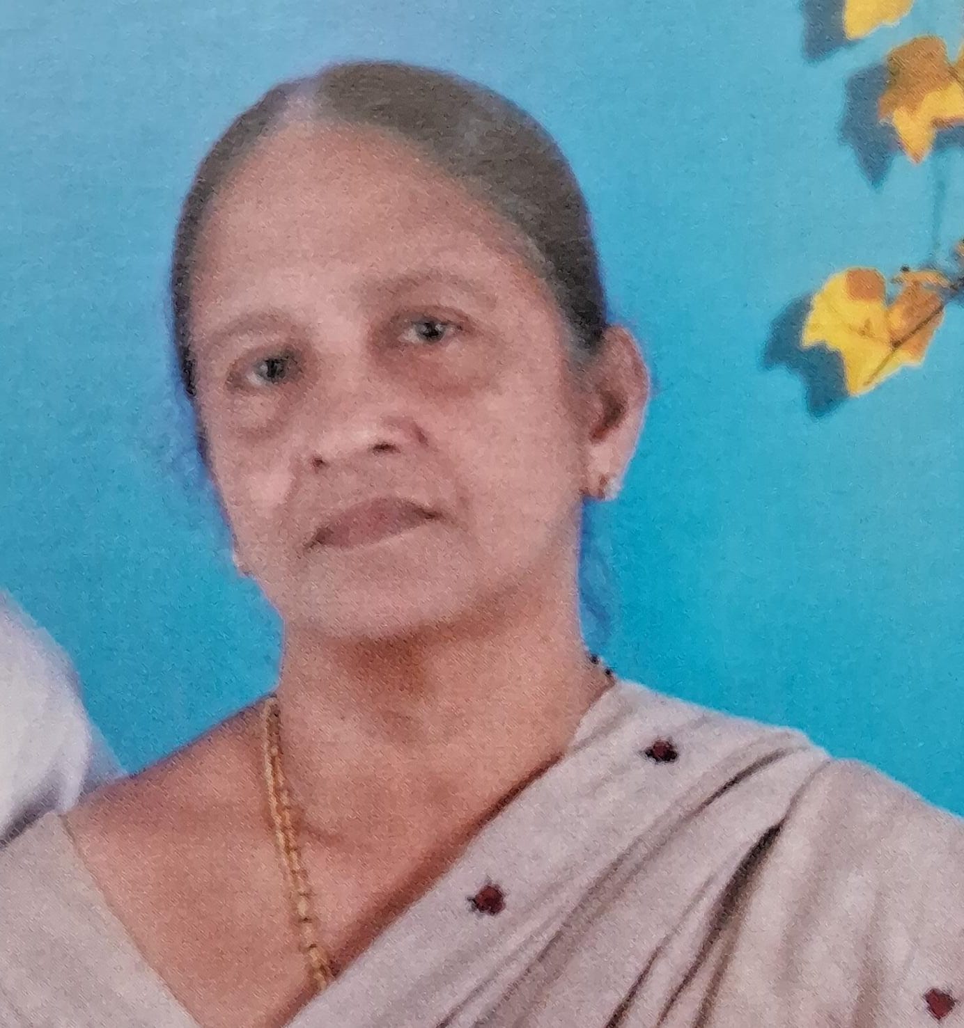 Pulikunnel Kunjunjamma Joy Konnackamala